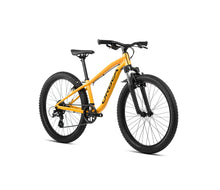 Load image into Gallery viewer, Orbea MX 24 XC 2025
