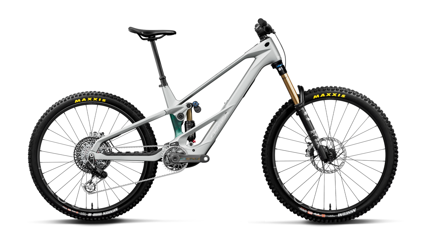 Orbea WILD LT M-LTD RS MULLET 2027
