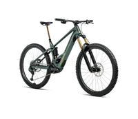Orbea WILD M-LTD 2026