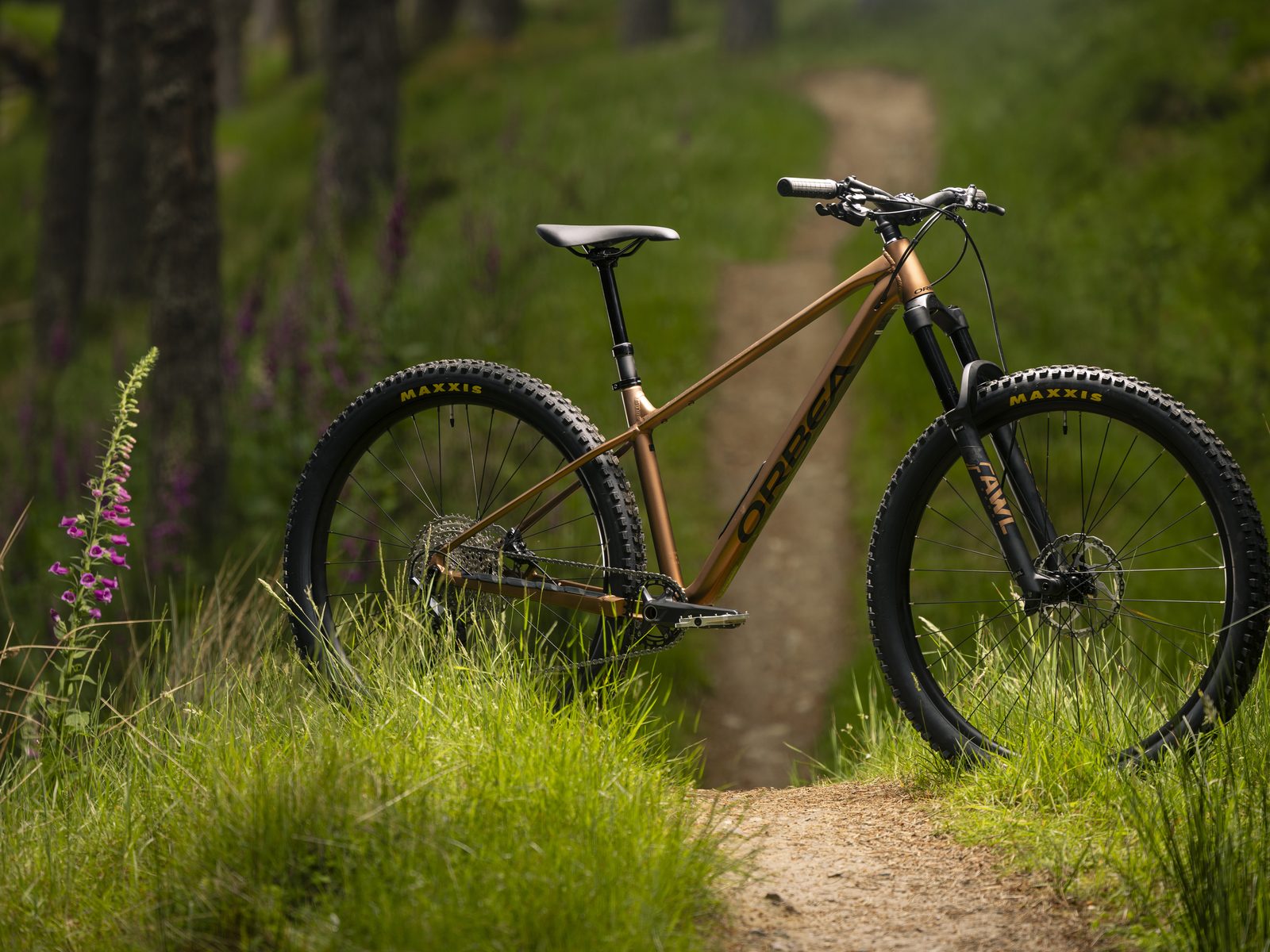 Ontdek de Orbea Laufey 2026 serie