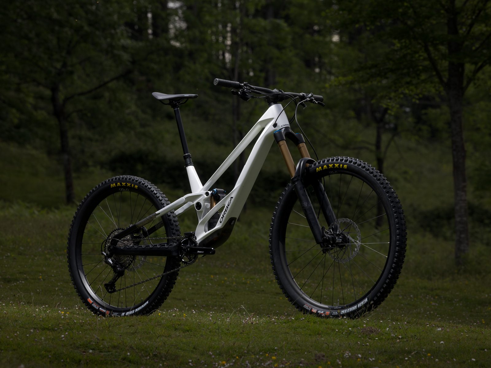 Orbea RALLON – Pure Enduro Snelheid